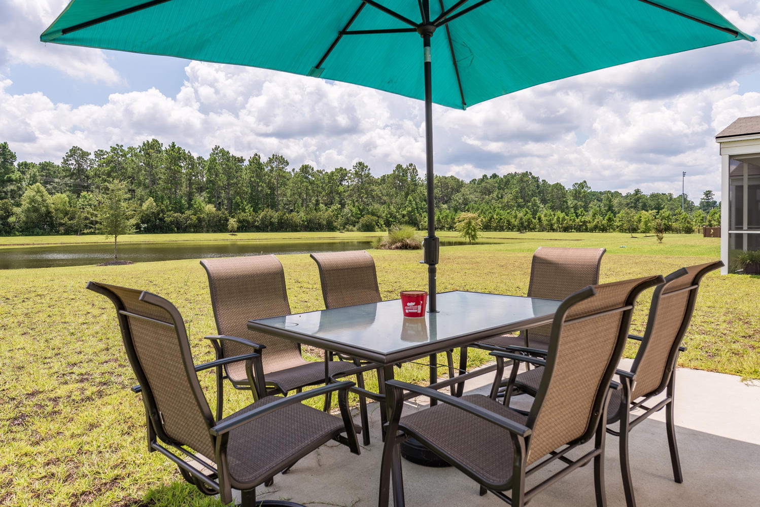 164 Brookhaven Road Summerville, SC 29486 - Photo 13 of 13 Gorgeous view from back patio