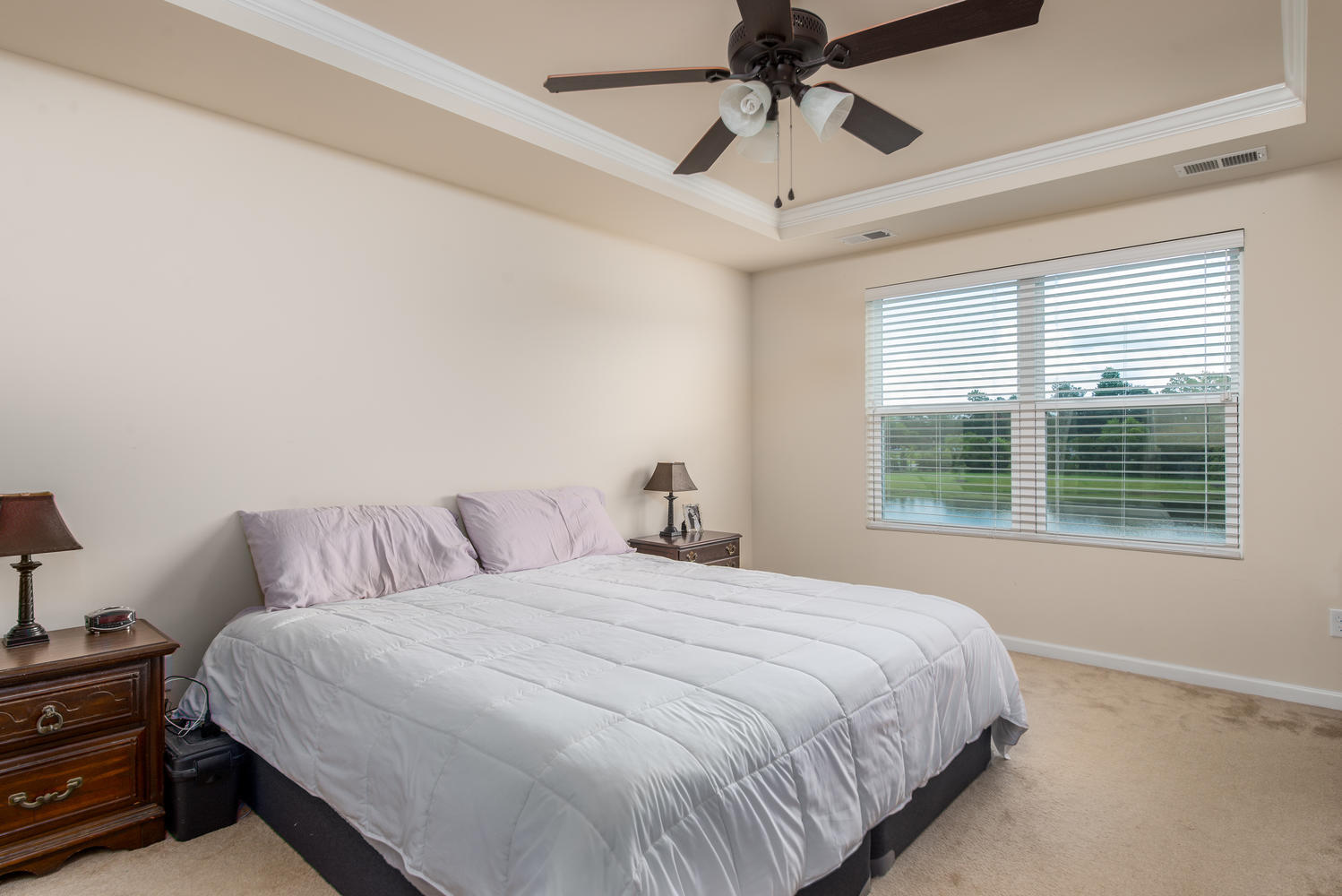 164 Brookhaven Road Summerville, SC 29486 - Photo 10 of 13 Master Suite with Tray Ceiling and View