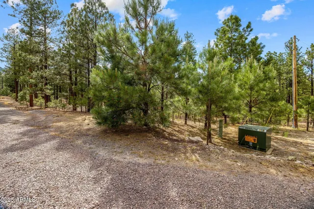 a view of outdoor space with trees