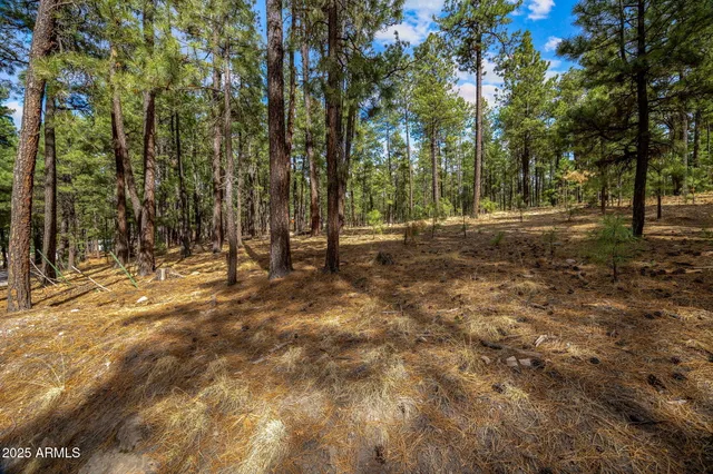 a view of outdoor space with trees