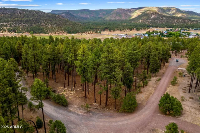 a view of lake with mountain