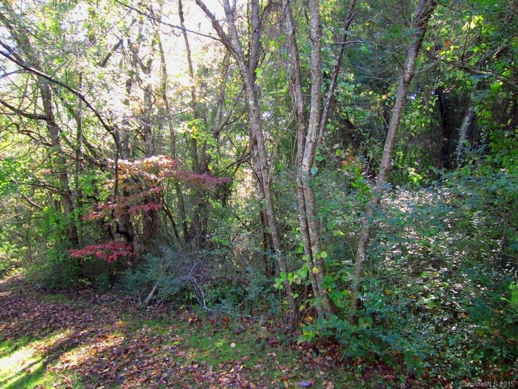 0 Pritchard Road Candler, NC 28715 - Photo 2 of 3 Gallery Image 2