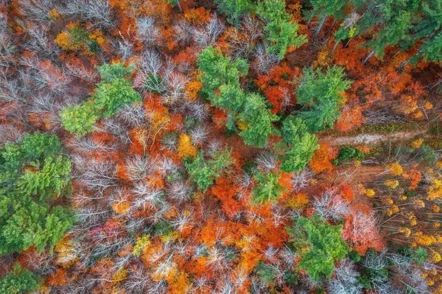 $249,000 | 590 Howard Hill Road, Londonderry, VT 05148