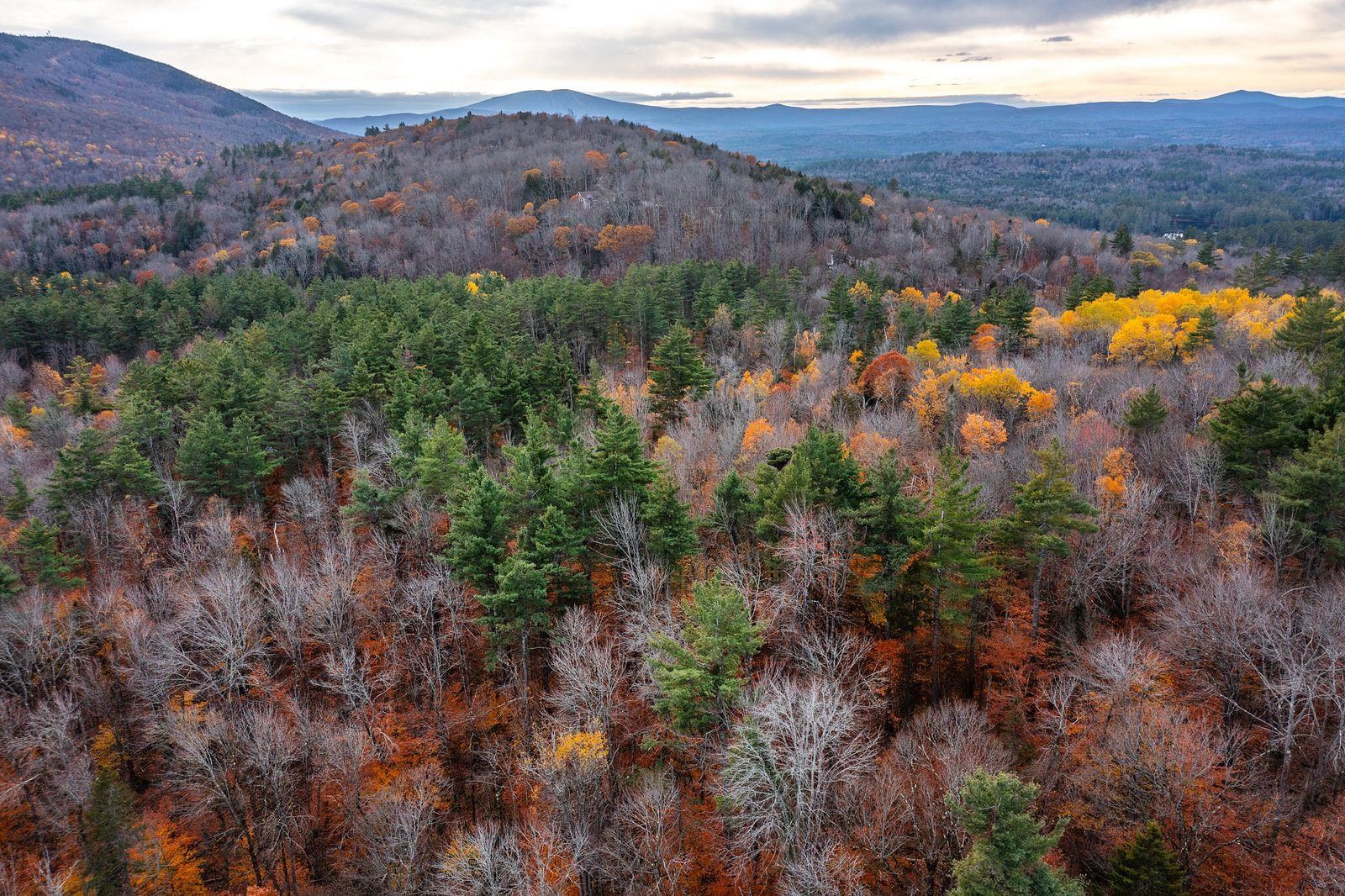 590 Howard Hill Road Londonderry, VT 05148 - Photo 12 of 21