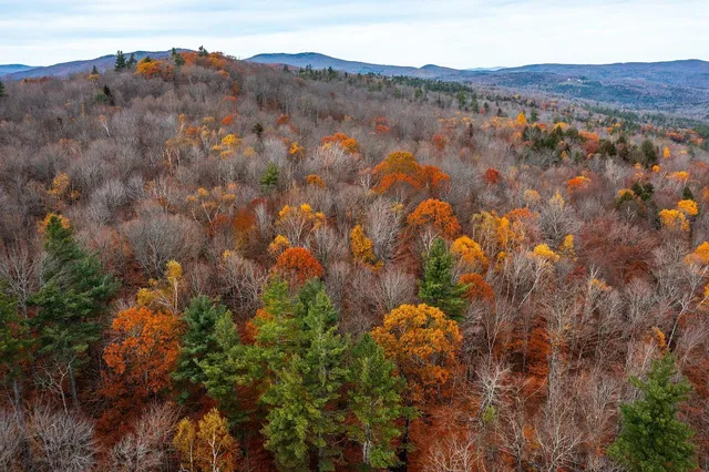 $249,000 | 590 Howard Hill Road, Londonderry, VT 05148