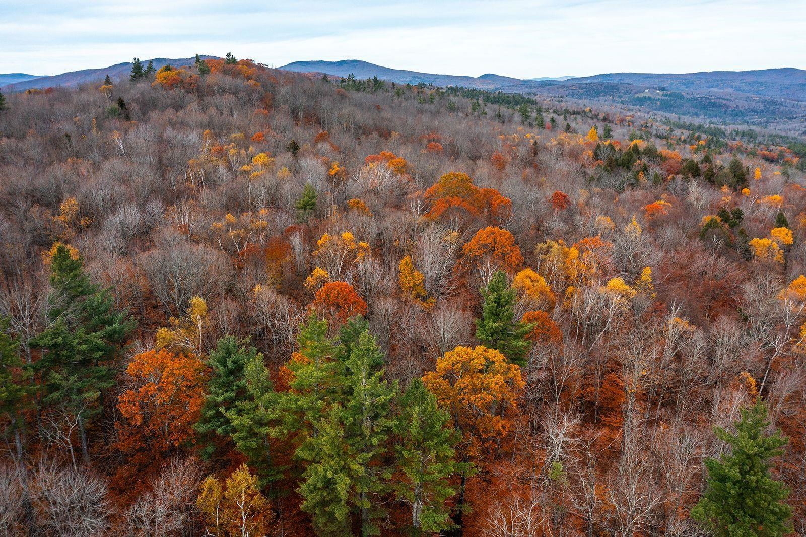 590 Howard Hill Road Londonderry, VT 05148 - Photo 13 of 21