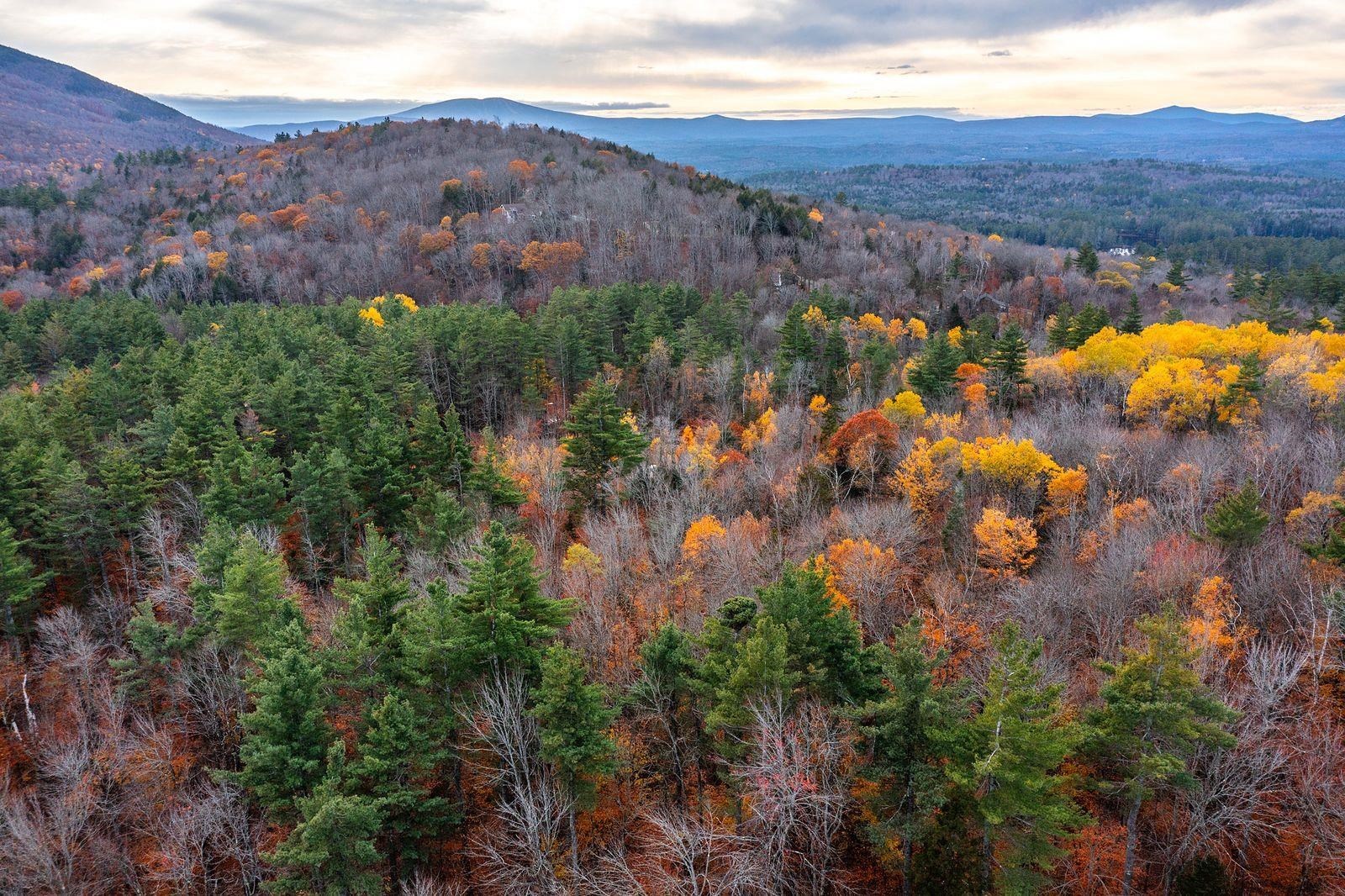 590 Howard Hill Road Londonderry, VT 05148 - Photo 14 of 21