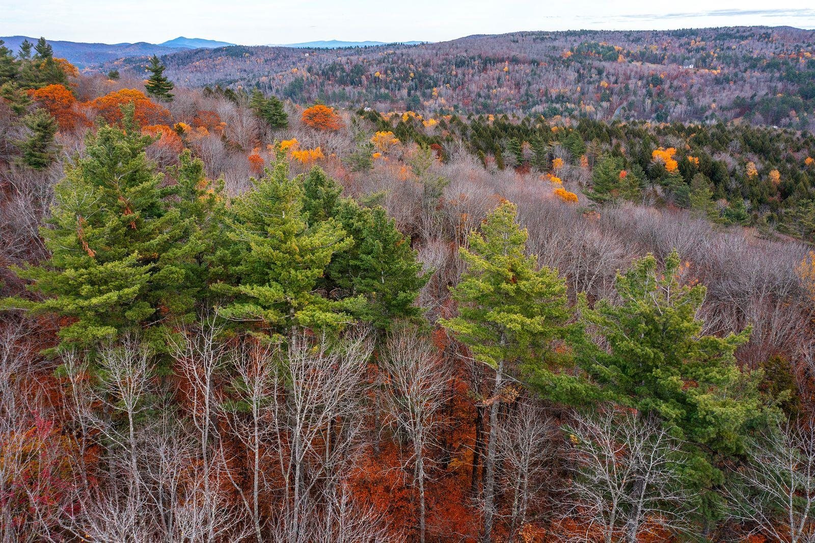 590 Howard Hill Road Londonderry, VT 05148 - Photo 15 of 21