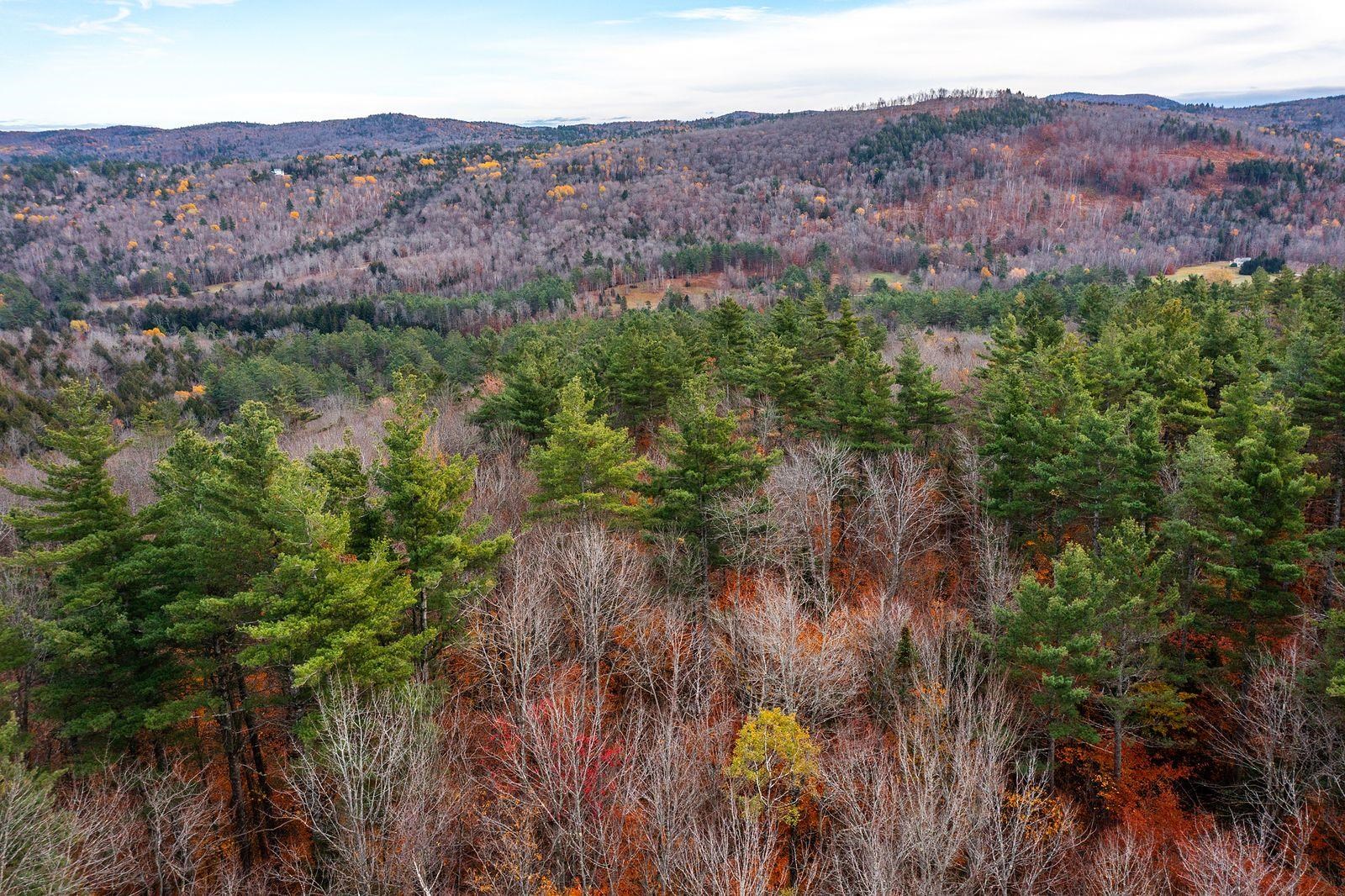 590 Howard Hill Road Londonderry, VT 05148 - Photo 18 of 21