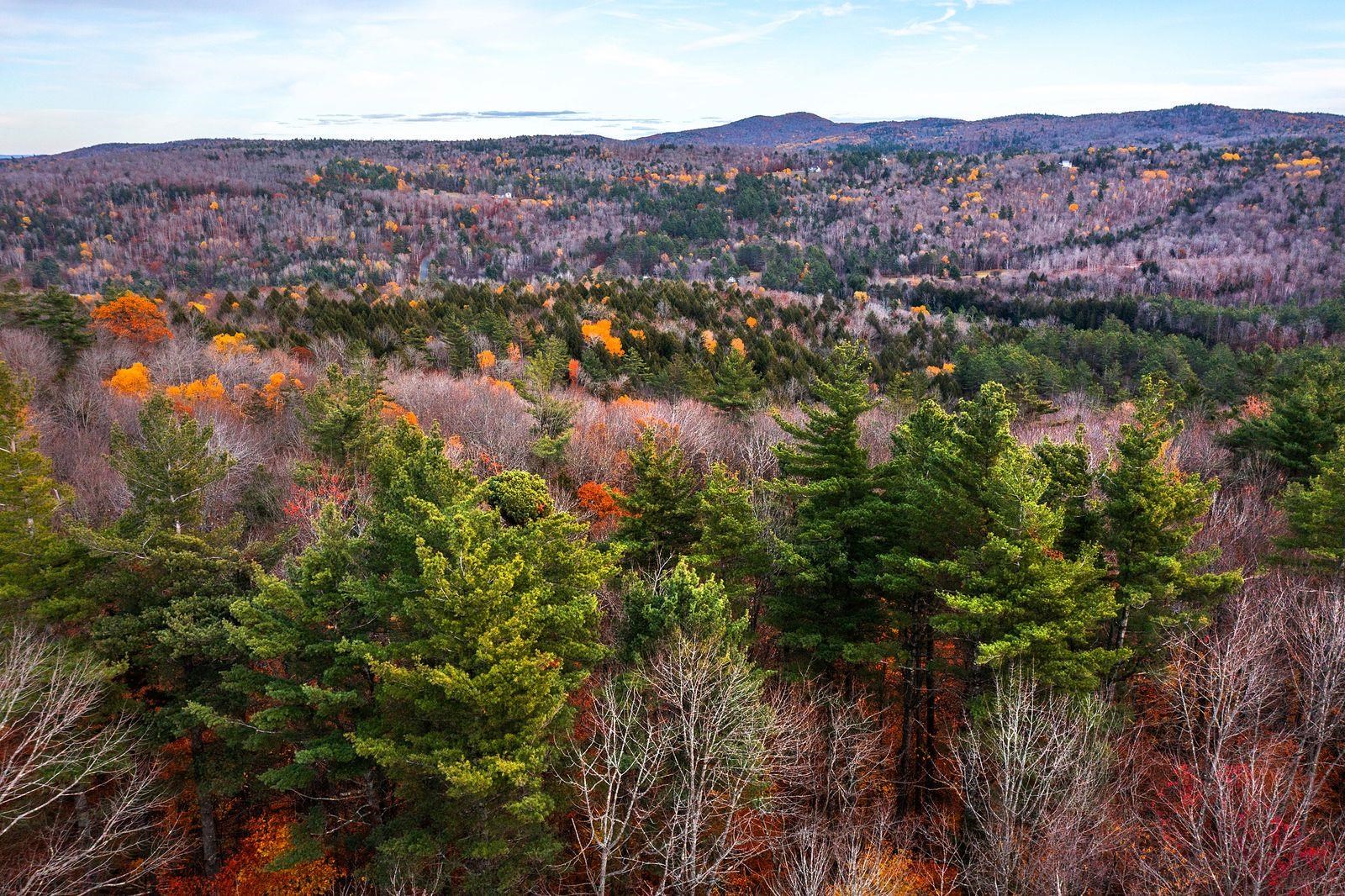 590 Howard Hill Road Londonderry, VT 05148 - Photo 19 of 21
