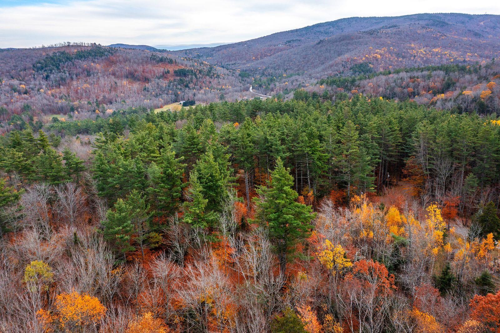 590 Howard Hill Road Londonderry, VT 05148 - Photo 20 of 21