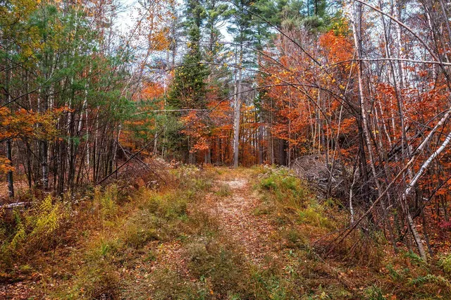 $249,000 | 590 Howard Hill Road, Londonderry, VT 05148