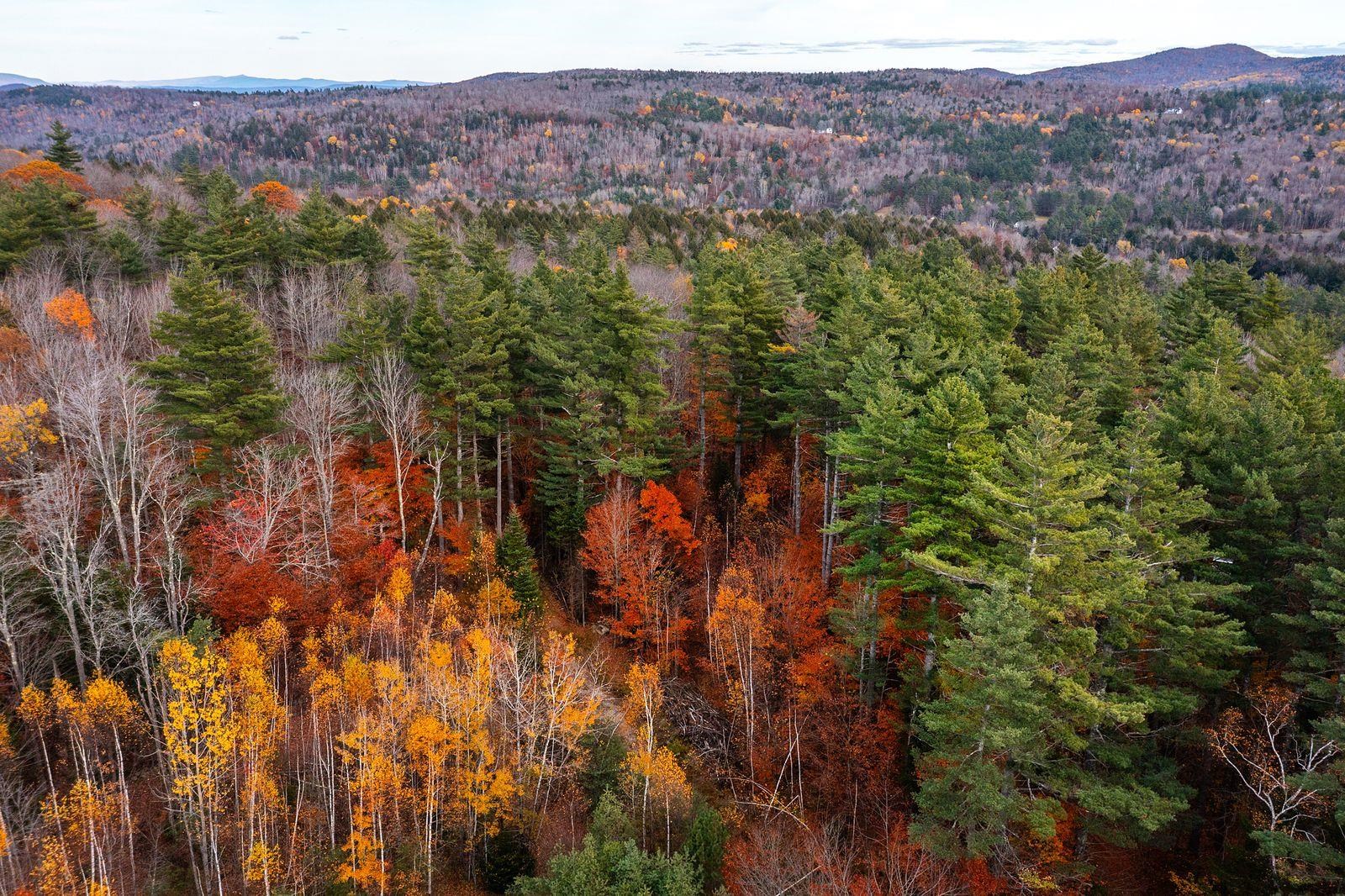 590 Howard Hill Road Londonderry, VT 05148 - Photo 5 of 21