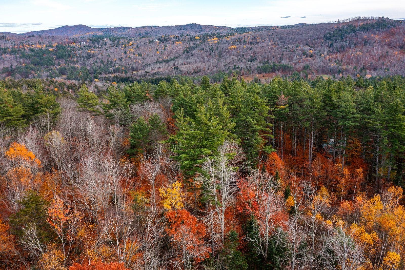 590 Howard Hill Road Londonderry, VT 05148 - Photo 7 of 21