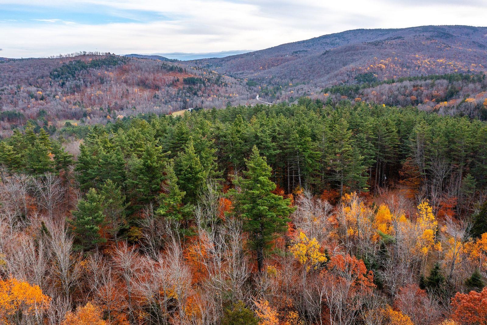 590 Howard Hill Road Londonderry, VT 05148 - Photo 8 of 21