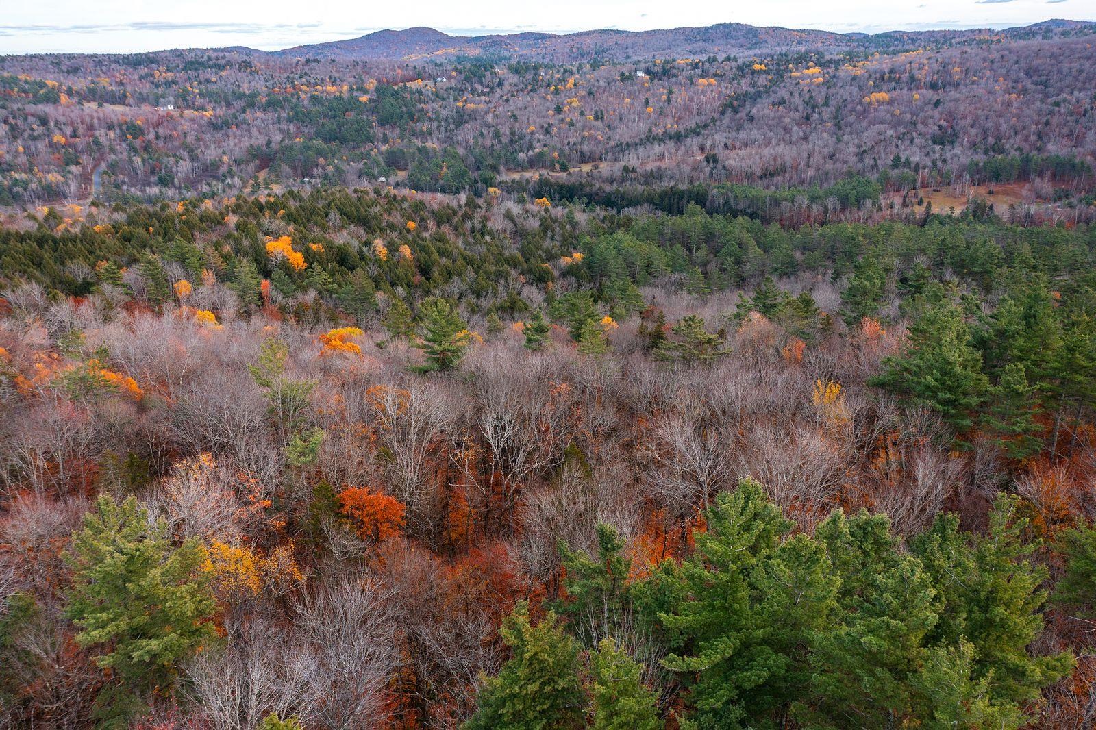 590 Howard Hill Road Londonderry, VT 05148 - Photo 10 of 21