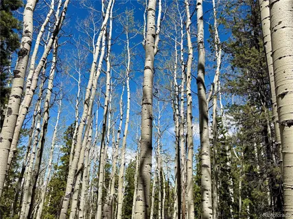 $900,000 | 0 Sinton Road, Evergreen, CO 80439
