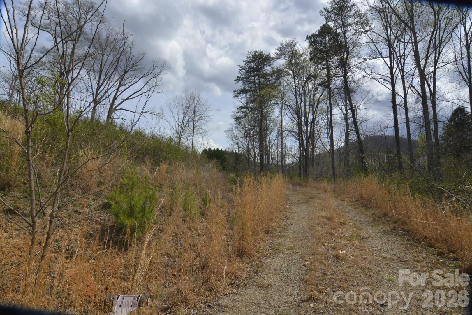 535 Old Newfound Road Leicester, NC 28748 - Photo 5 of 6