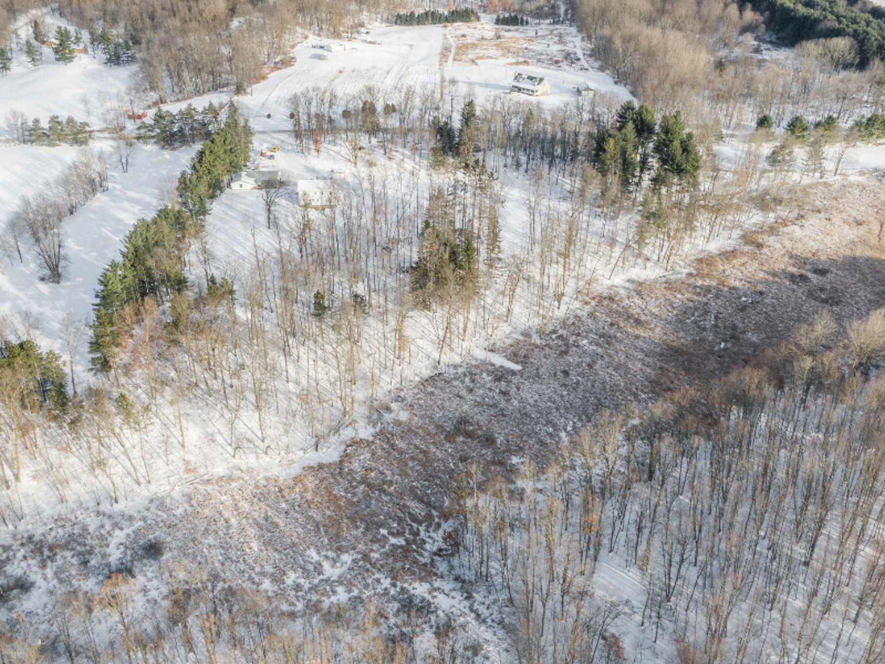 3702 Fruin Road Bellevue, MI 49021 - Photo 4 of 47 DJI_0142