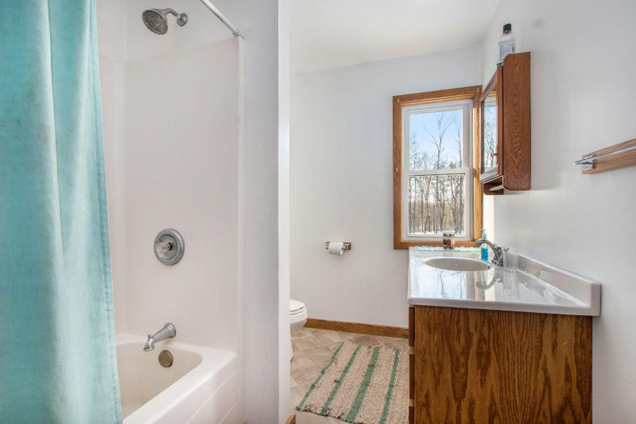 3702 Fruin Road Bellevue, MI 49021 - Photo 42 of 47 IMG_5915-copy