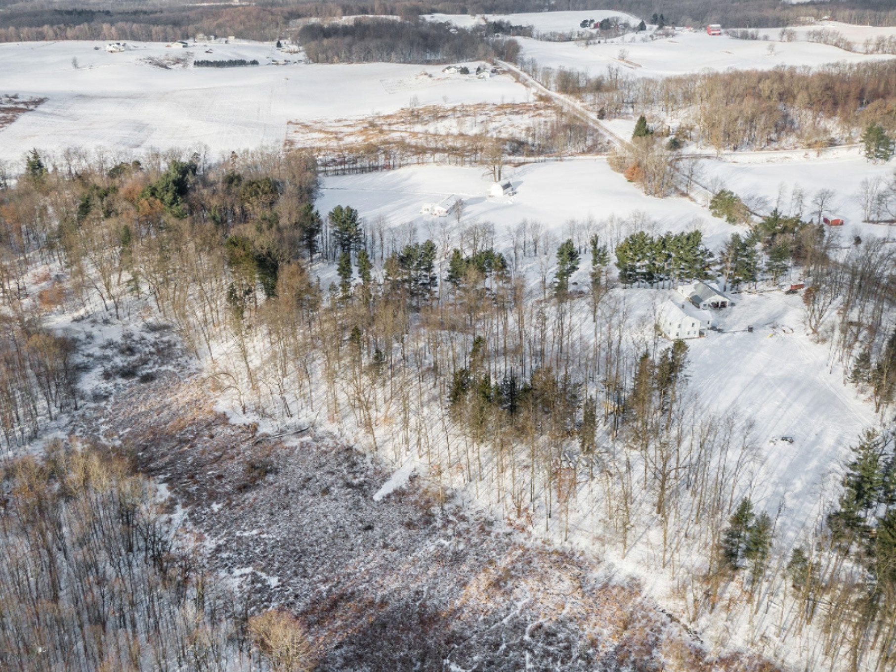 3702 Fruin Road Bellevue, MI 49021 - Photo 5 of 47 DJI_0141