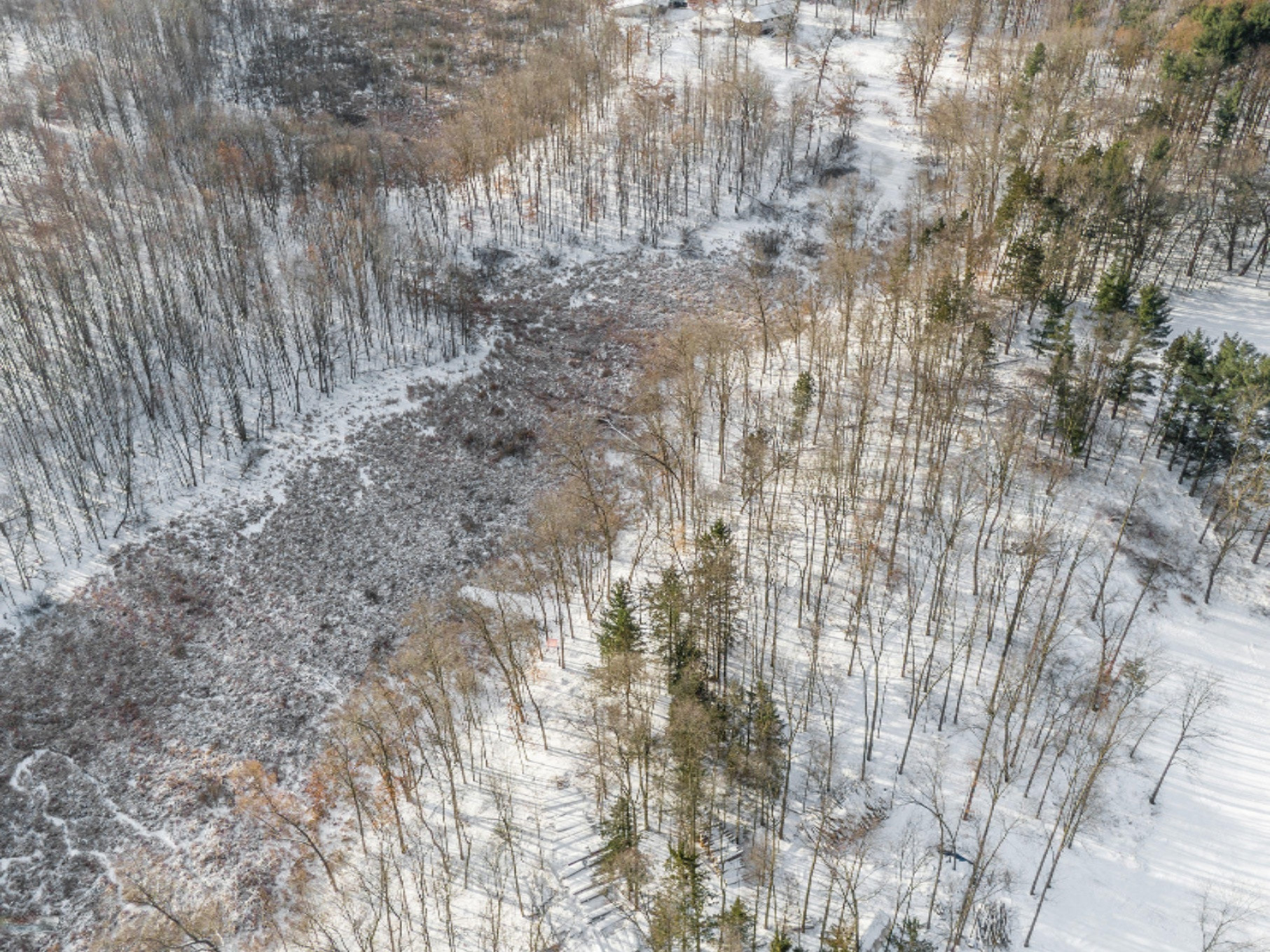 3702 Fruin Road Bellevue, MI 49021 - Photo 6 of 47 DJI_0140