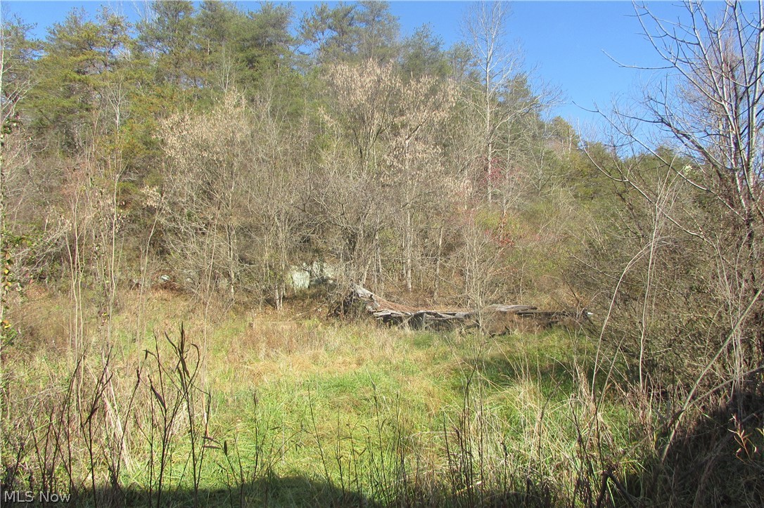 Racy Road Petroleum, WV 26161 - Photo 7 of 16