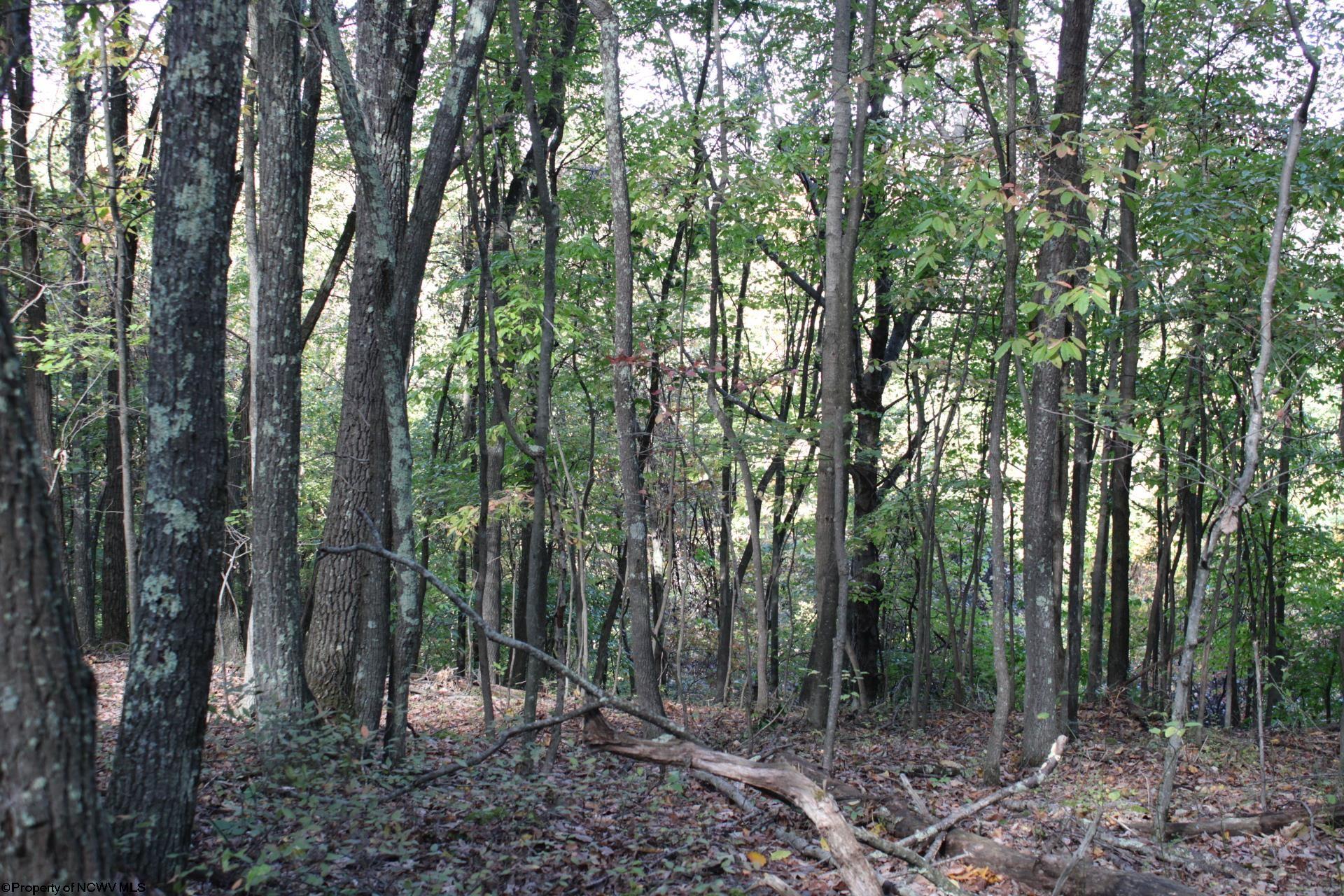 1430 Sand Bank Road Masontown, WV 26542 - Photo 2 of 29 Gallery Image 2