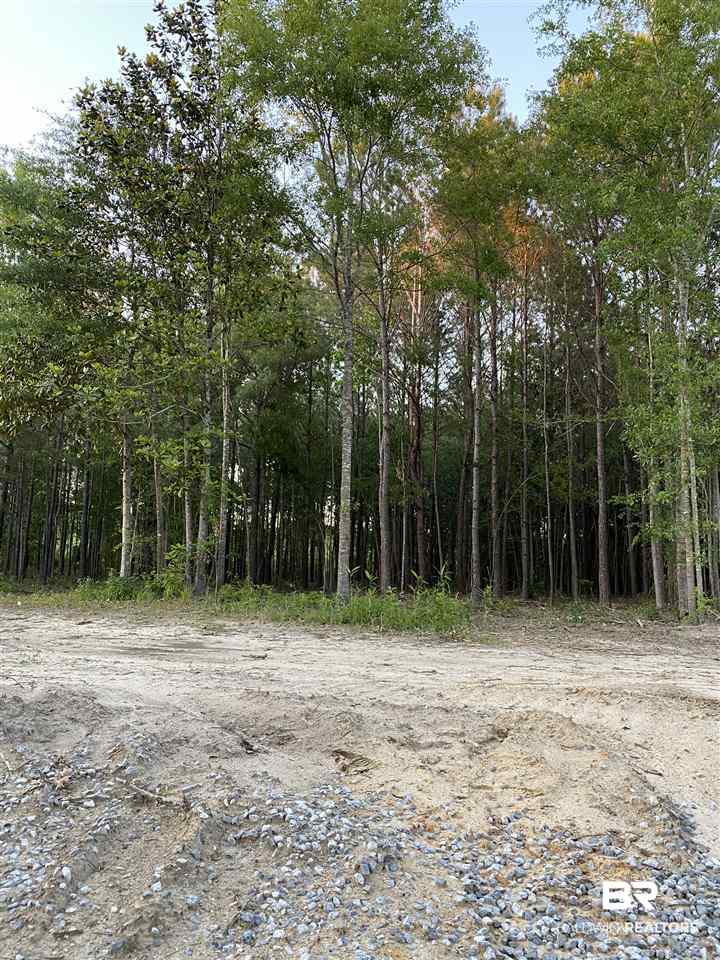 0 Highway 4 Jay, FL 32565 - Photo 24 of 50