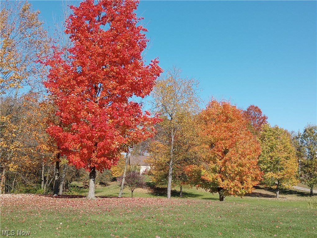 38726 Smith Road Litchfield, OH 44253 - Photo 3 of 32 Falltime view