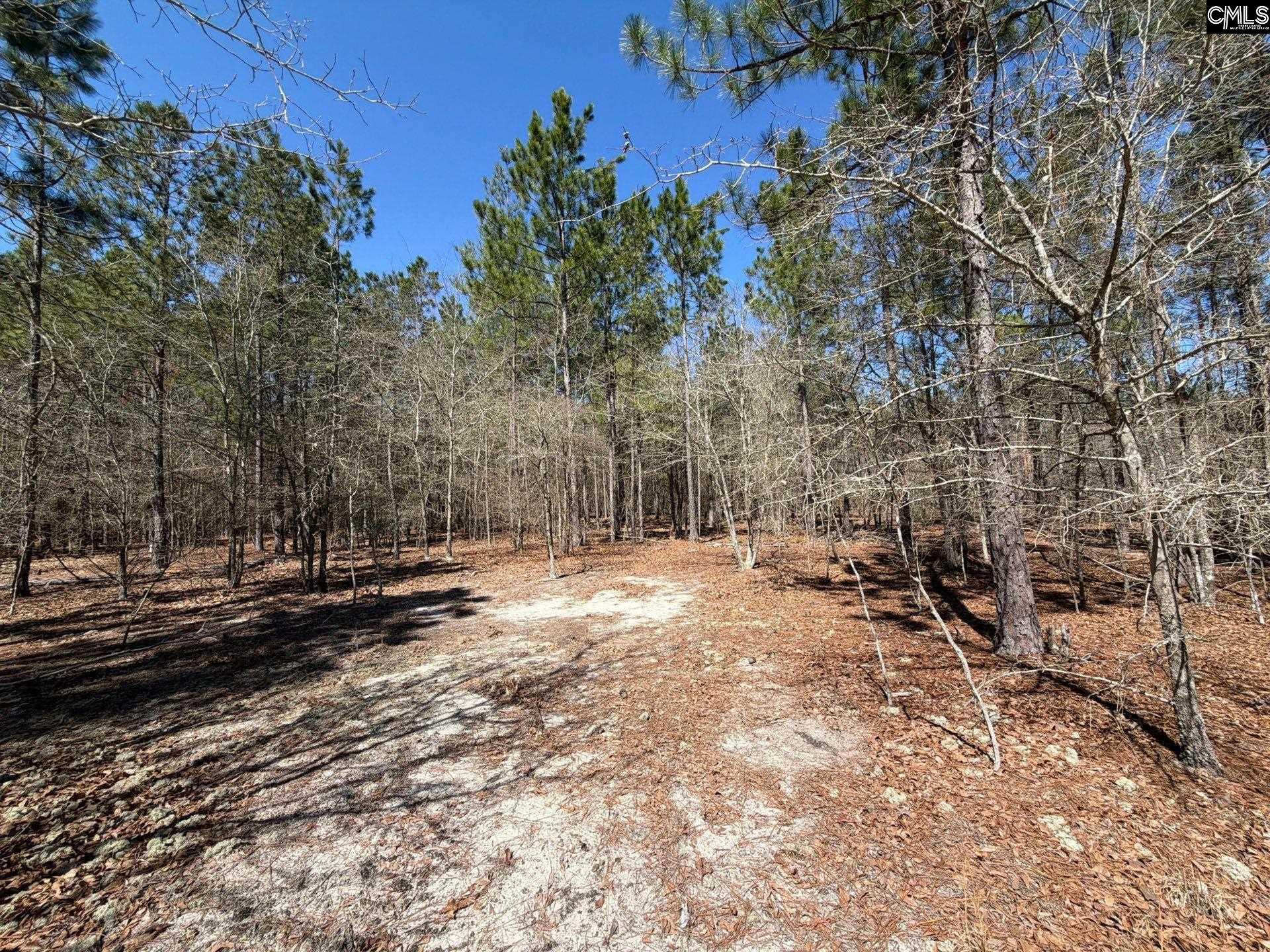 11 Boise Cascade Road, Unit BHL 11 Bethune, SC 29009 - Photo 16 of 24
