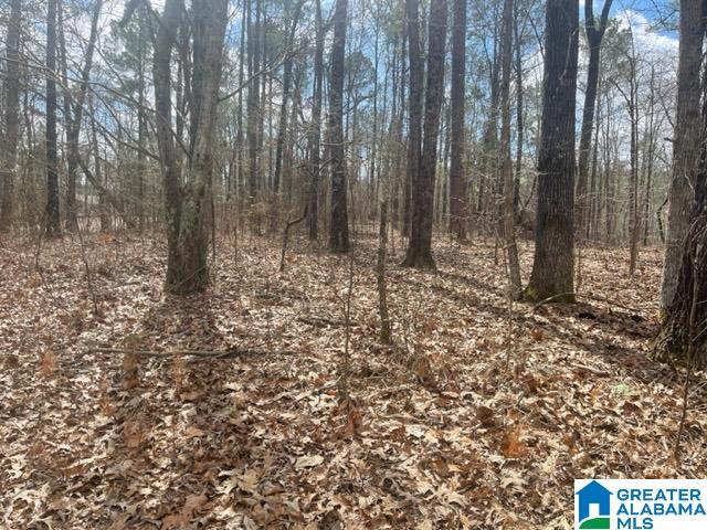 0 Ridgeway Circle, Unit 95 AND 96 Talladega, AL 35160 - Photo 8 of 10
