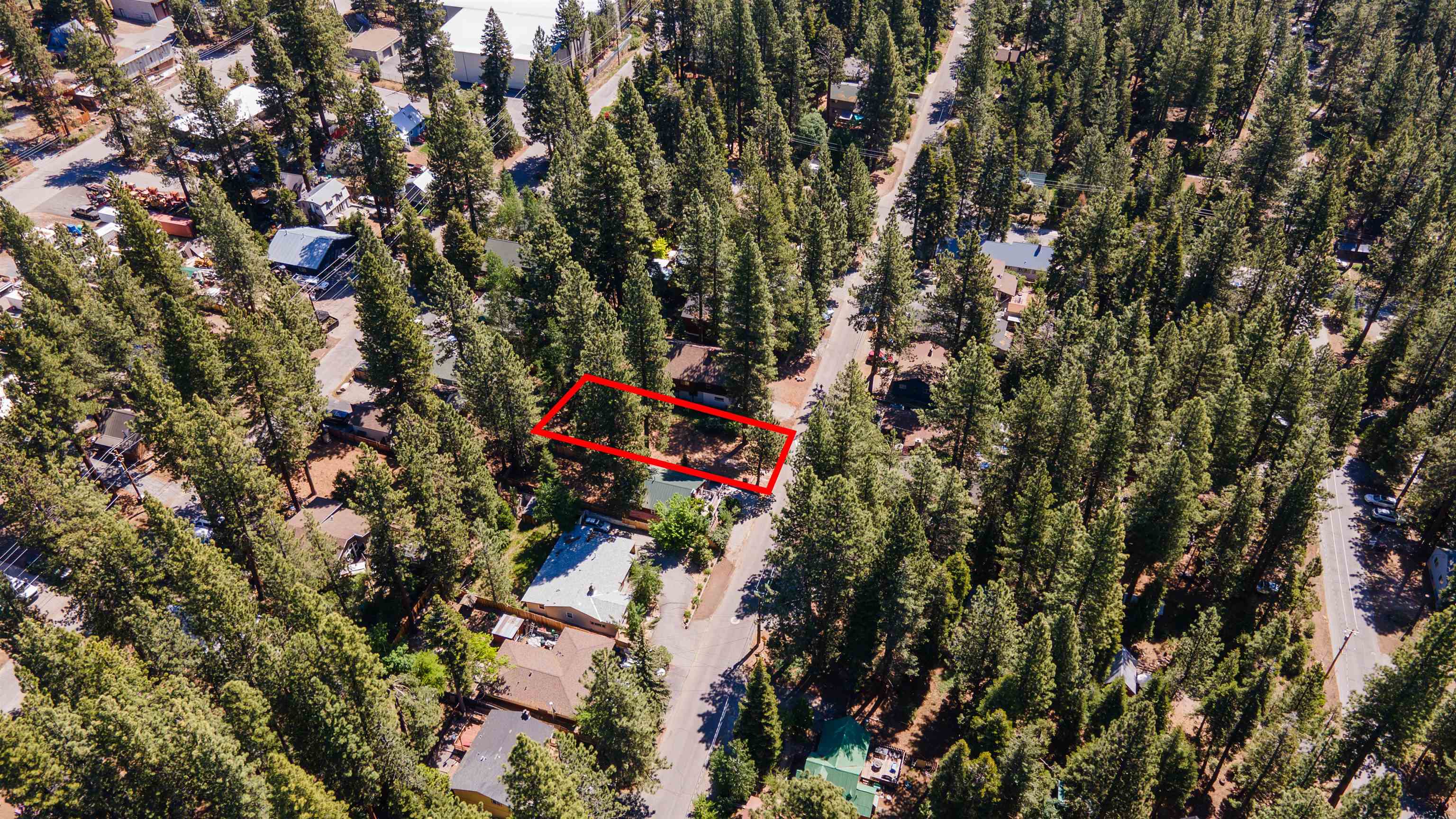 Dolly Varden Avenue Kings Beach, CA 96143 - Photo 5 of 7 a view of a bird of flowers