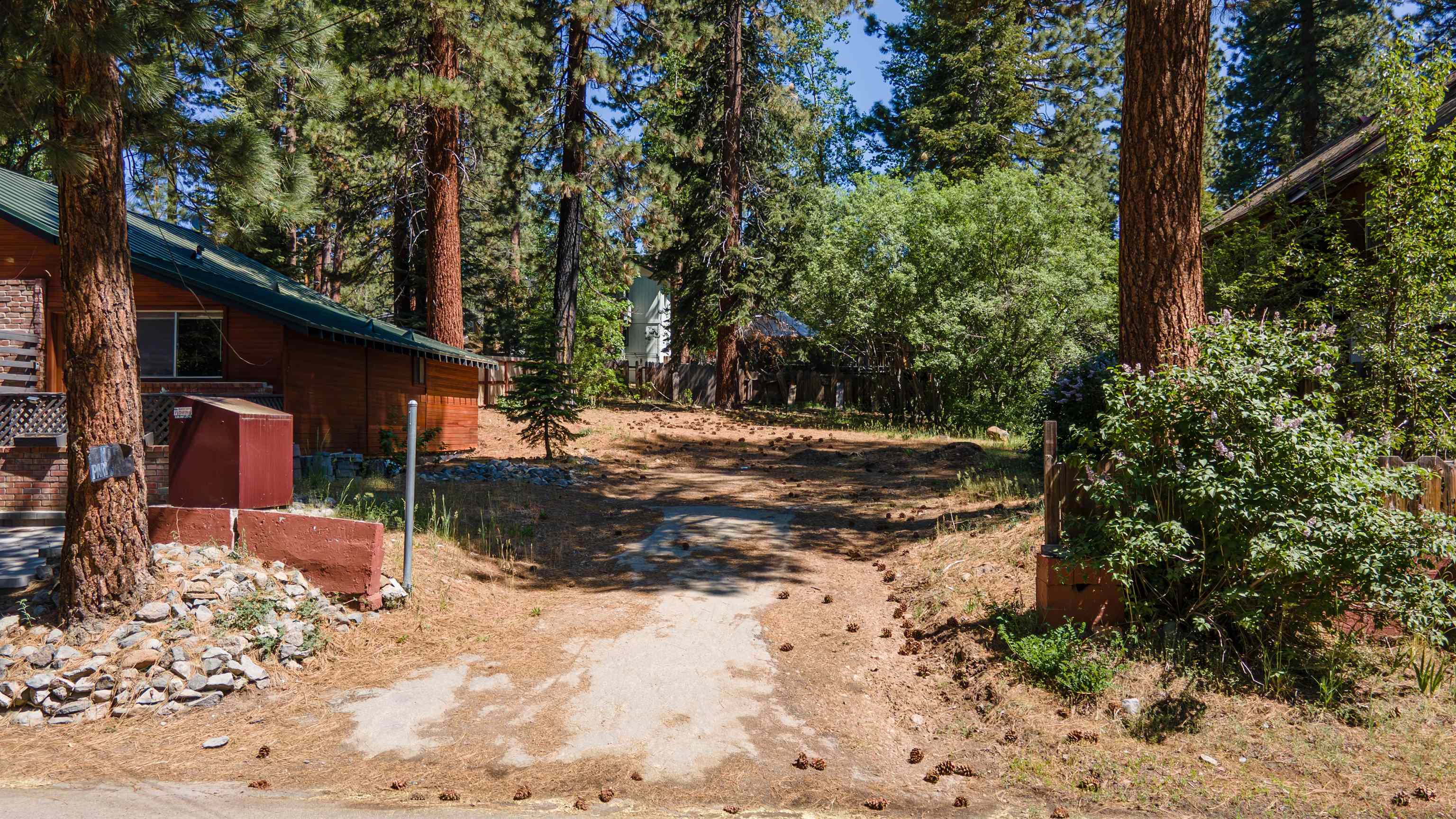 Dolly Varden Avenue Kings Beach, CA 96143 - Photo 7 of 7 a view of a tree in the middle of a yard