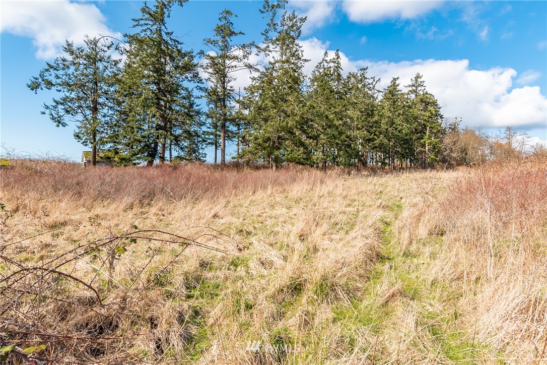 55 East Crescent Harbor Road Oak Harbor, WA 98277 - Photo 11 of 16 Gallery Image 11
