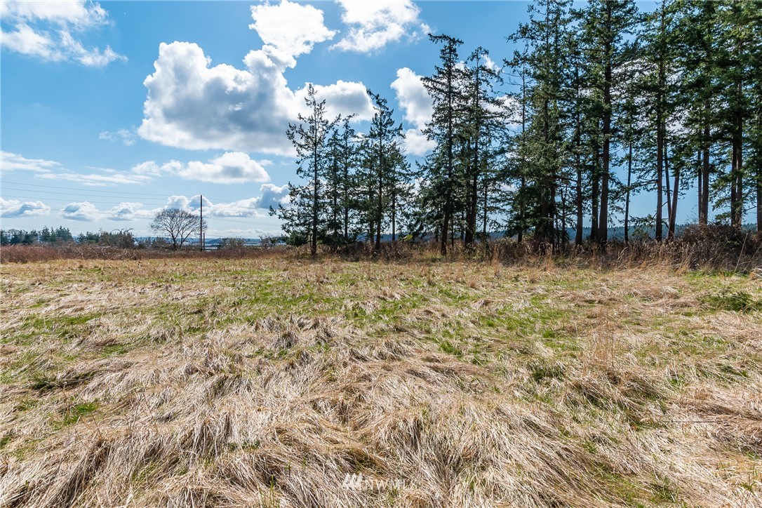 55 East Crescent Harbor Road Oak Harbor, WA 98277 - Photo 12 of 16 Gallery Image 12