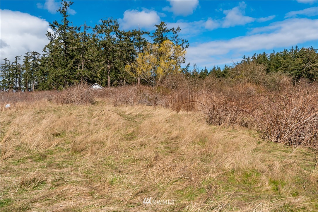 55 East Crescent Harbor Road Oak Harbor, WA 98277 - Photo 9 of 16 Gallery Image 9