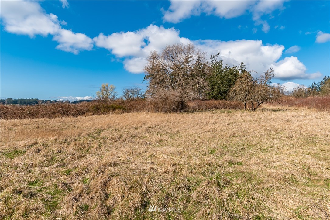 55 East Crescent Harbor Road Oak Harbor, WA 98277 - Photo 10 of 16 Gallery Image 10