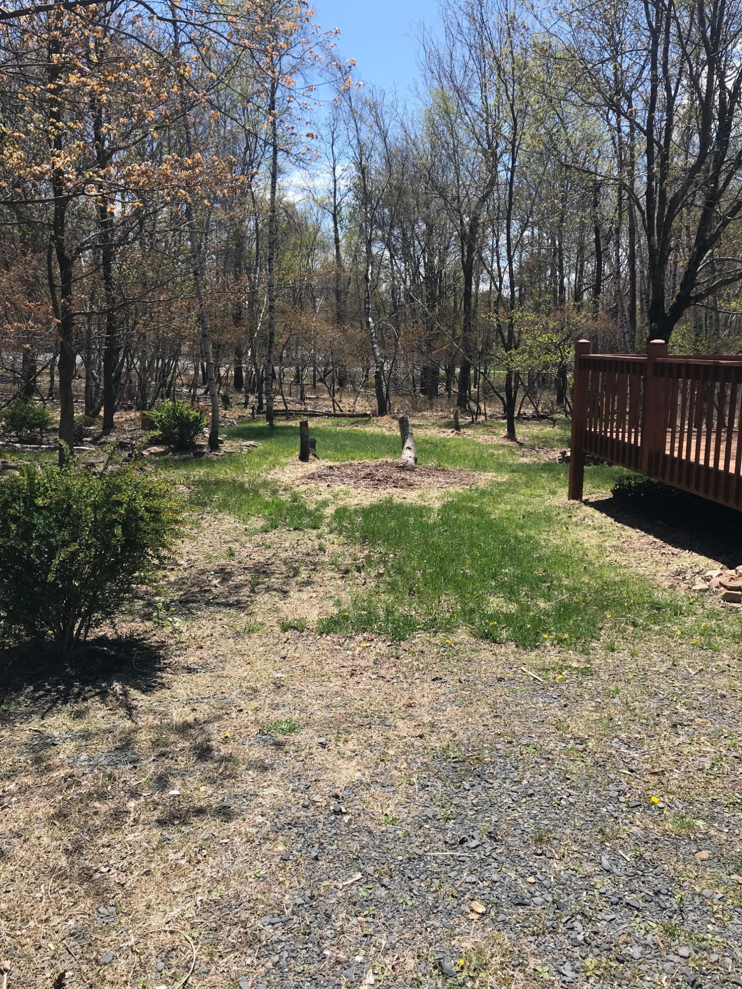 244 Evergreen Road Albrightsville, PA 18210 - Photo 20 of 20 15