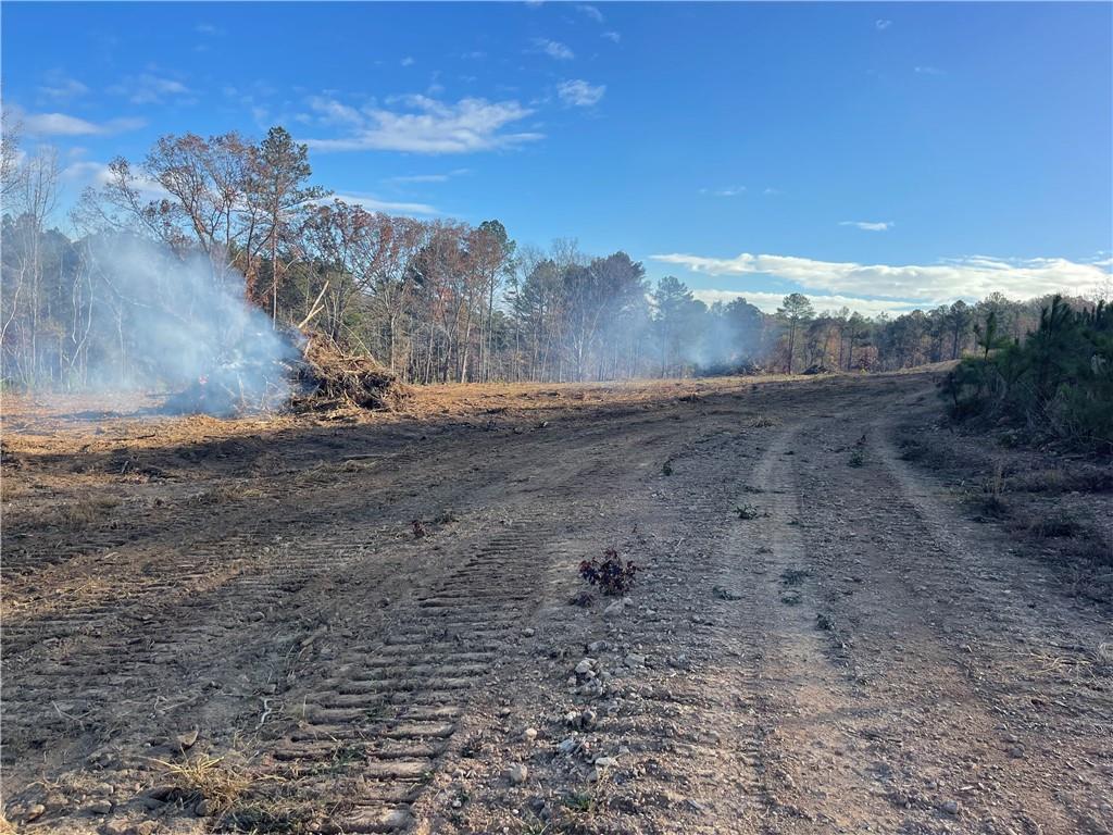 A Johnson Lake Road, Unit 0A Cedartown, GA 30125 - Photo 2 of 19 a view of a dry yard with mountains in the background