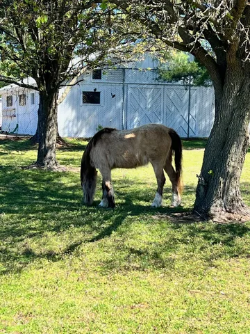 $1,949,900 | 1006 Laguna Drive, Franklin, TN 37067