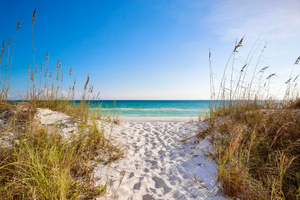 $1,495,000 | 63 Wadleigh Way, Miramar Beach, FL 32550