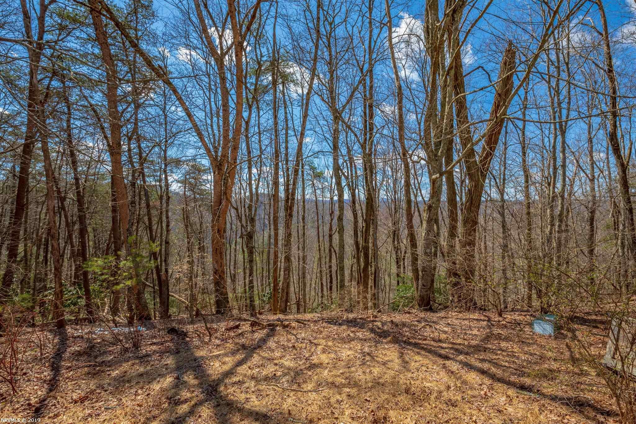 672 Marian Road Dugspur, VA 24325 - Photo 79 of 87 Gallery Image 79