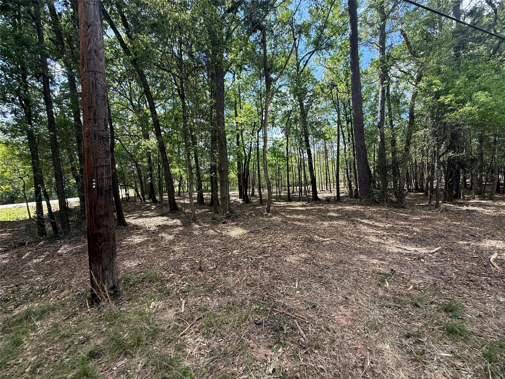 0 Daniel Street Magnolia, TX 77354 - Photo 11 of 14
