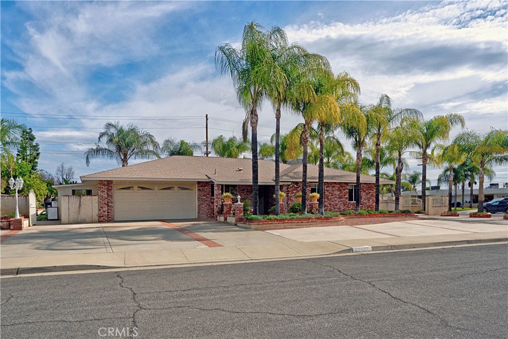 a row of palm trees in front of house