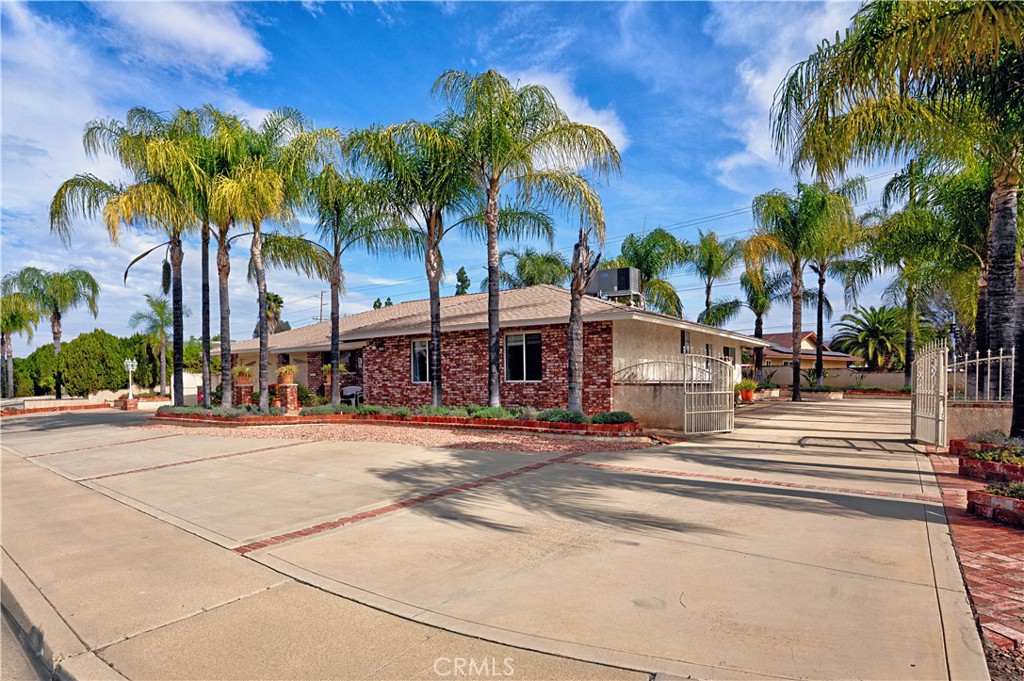 25990 Roanoke Road Menifee, CA 92586 - Photo 5 of 47 a palm tree sitting on the side of a street