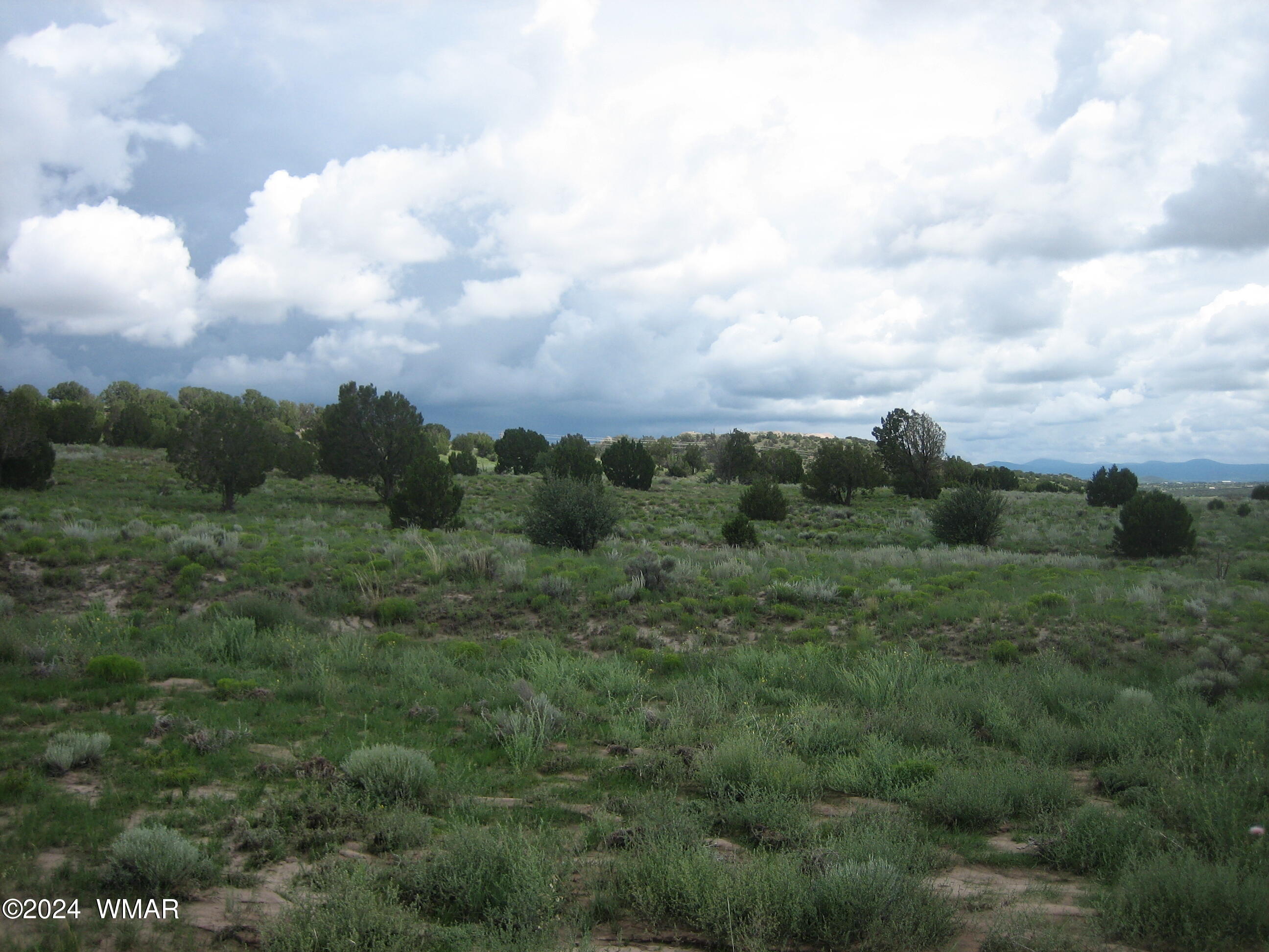 Tbd Tbd Ranch Concho, AZ 85924 - Photo 2 of 3