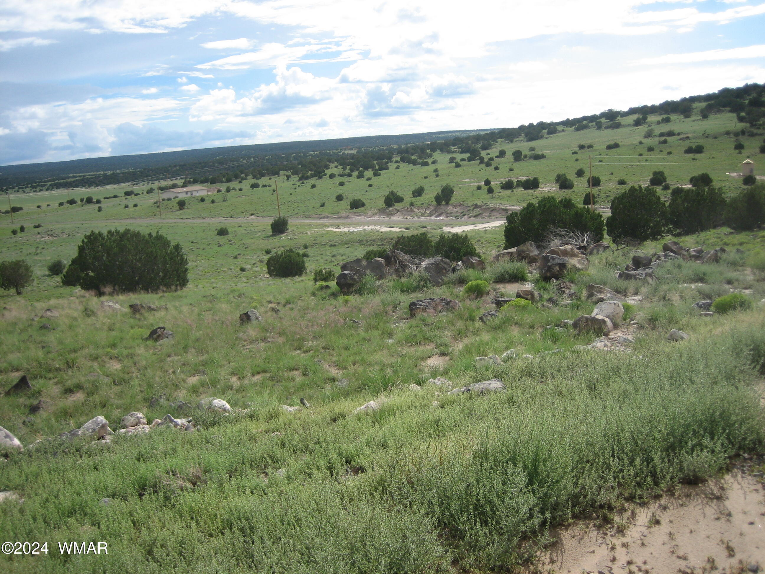 Tbd Tbd Ranch Concho, AZ 85924 - Photo 3 of 3