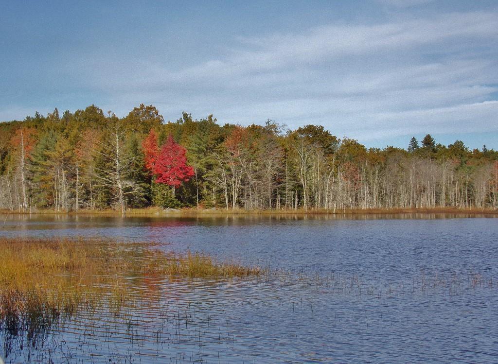 0 Mines Road Blue Hill, ME 04614 - Photo 5 of 9 20180815222617897037000000-o