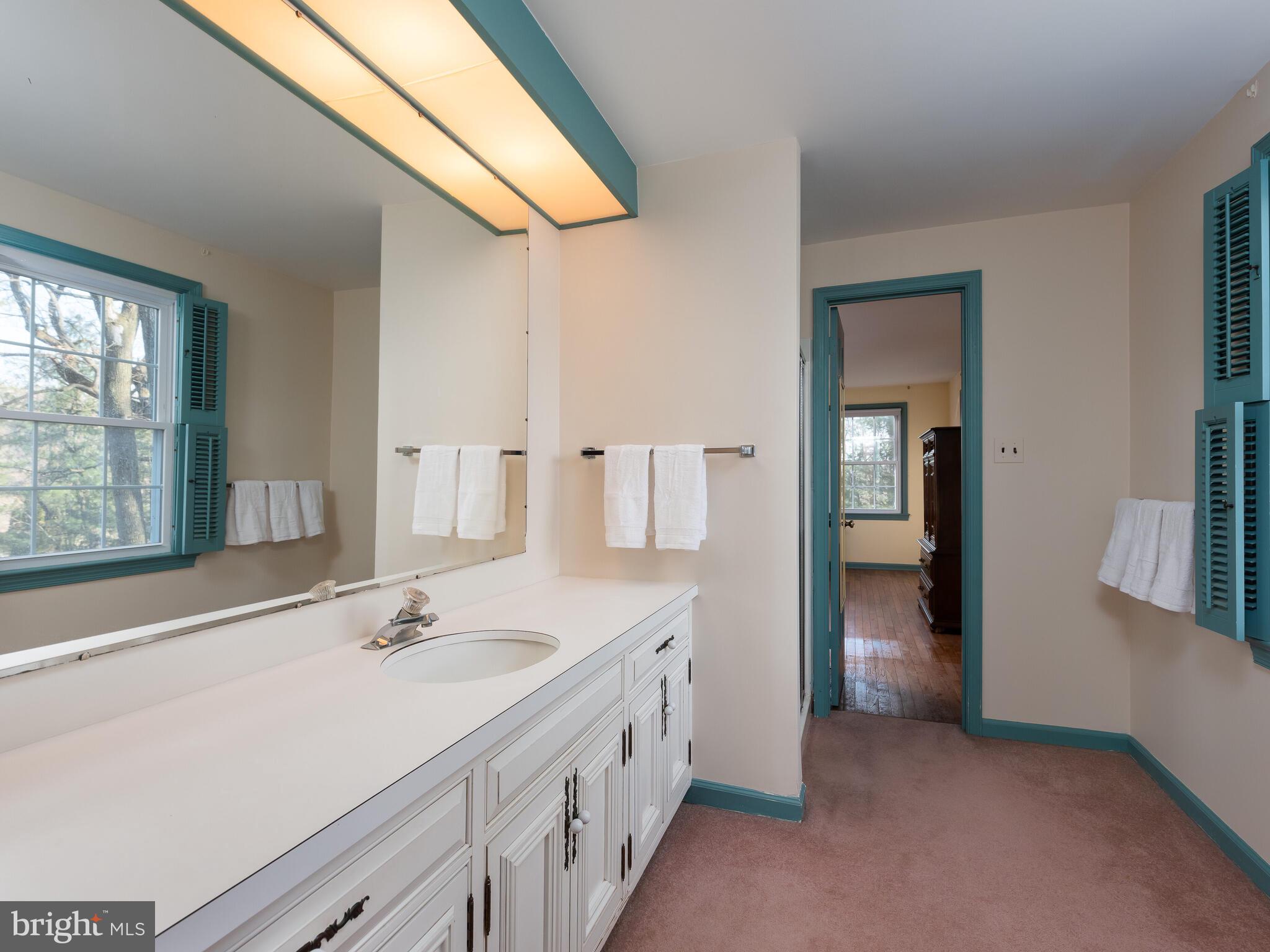 930 Conner Road West Chester, PA 19380 - Photo 35 of 52 Jack-n-Jill Bath